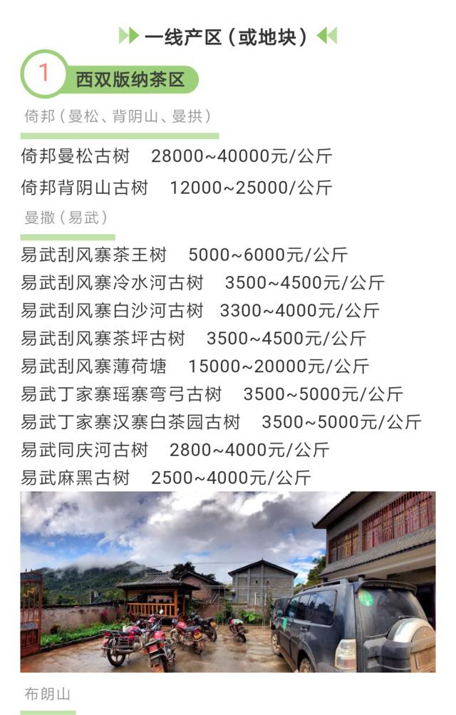 2019年普洱茶报价 普洱茶行情 2019年普洱茶报价 普洱茶行情