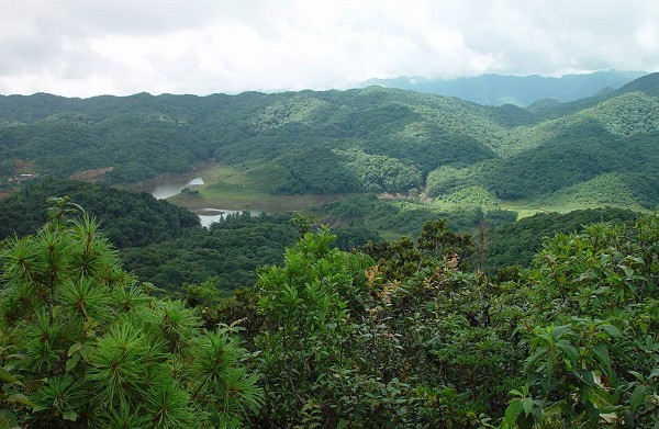 无量古茶山简介 无量古茶山简介
