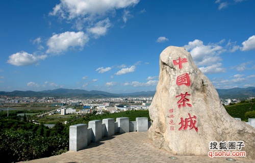 思茅茶区 思茅茶区