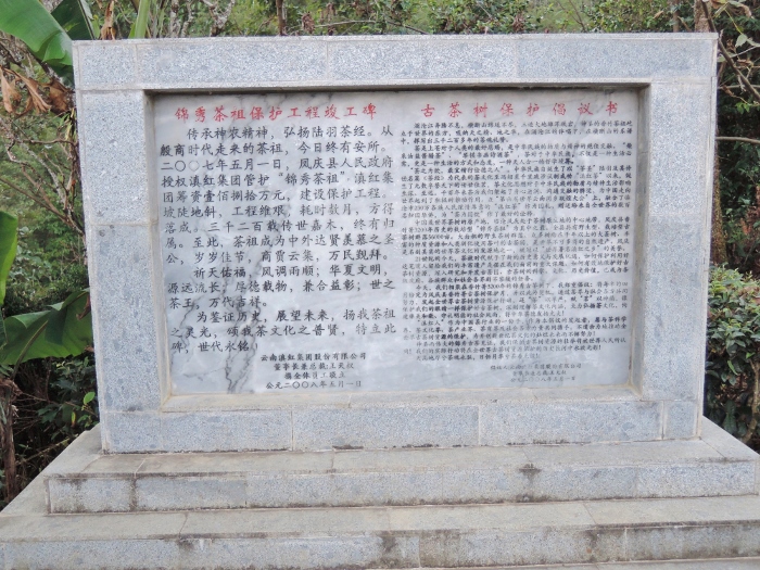 锦绣茶祖 碑文记载
