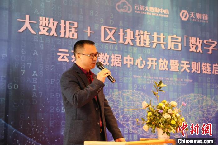 云茶大规模云数据正式启动运行