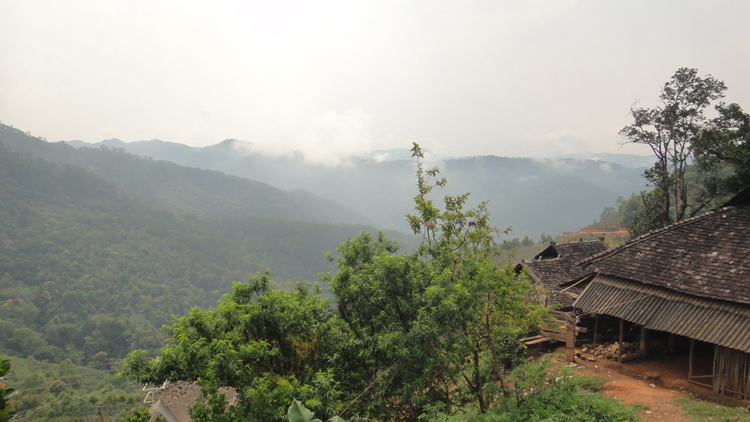 布朗山系