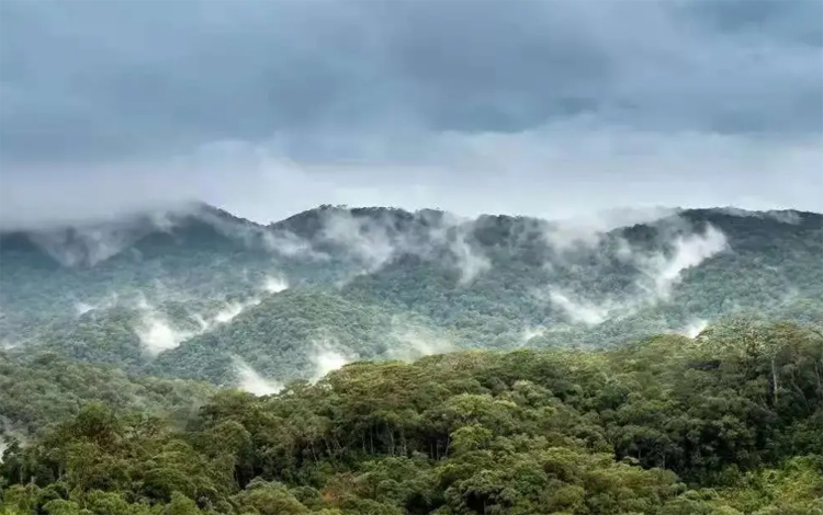 勐库大雪山 勐库大雪山