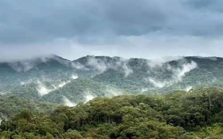 勐库大雪山