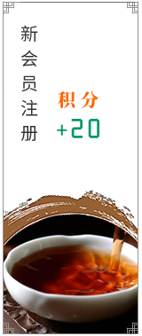 新会员注册赠送积分