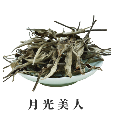 月光美人散茶 1000克 普洱茶春茶 头春月光白  云南大叶种白茶