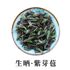 2022年云南生晒紫芽苞1000克  普洱茶芽苞 散装 香甜