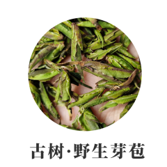 2021年头春野生芽苞 1000克  紫芽苞 普洱茶 古树野生芽孢 绿芽苞