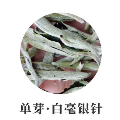 2026年单芽月光白 1000克散装 【大芽】滋味香甜 白毫银针 白茶