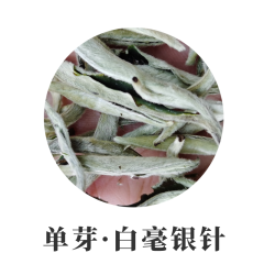 2022年单芽月光白 1000克散装 【大芽】滋味香甜 白毫