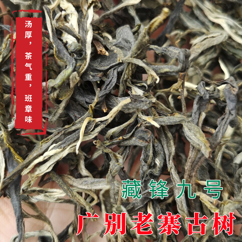 2021年春茶 广别老寨古树茶 春茶散料 晒青毛茶 茶汤厚