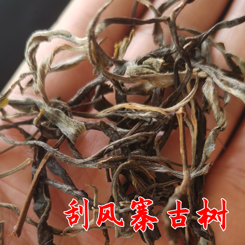 2022年易武刮风寨头春古树 普洱茶古树生茶 晒青毛茶  百年老树茶 