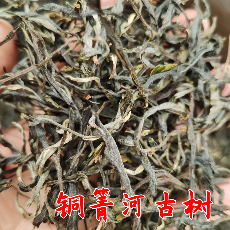 2022年易武铜箐河古树 散茶普洱茶生茶 晒青毛茶 滋味