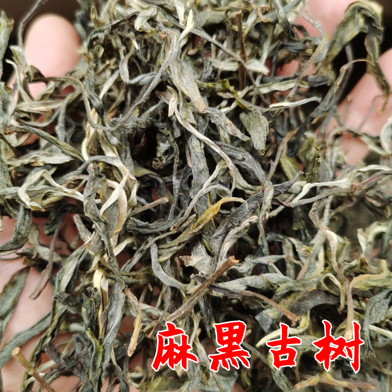 2022年麻黑古树春茶 普洱茶生茶 古六山易武茶 麻黑，