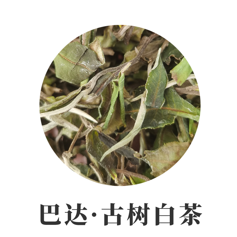 2023年巴达古树白茶500克 白牡丹云南大叶种白茶散茶 