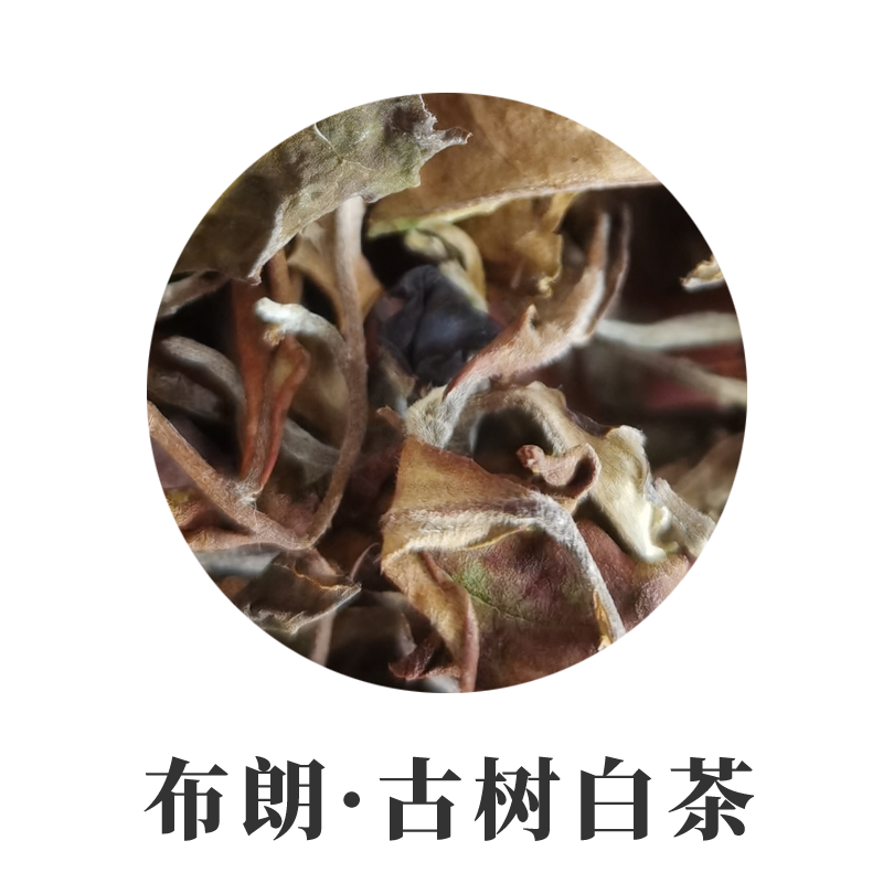 2023年布朗山古树白茶散茶 云南大叶种白茶 茶汤浓厚 