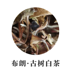 2023年布朗山古树白茶散茶 云南大叶种白茶 茶汤浓厚 韵味佳香气特别