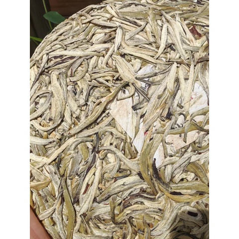 月光美人茶饼，单芽月光白茶，滋味清香甘甜，茶味足，回甘好